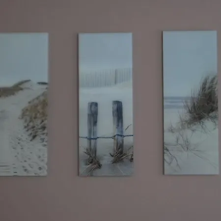 Stylish Kronstadt 公寓 布拉索夫